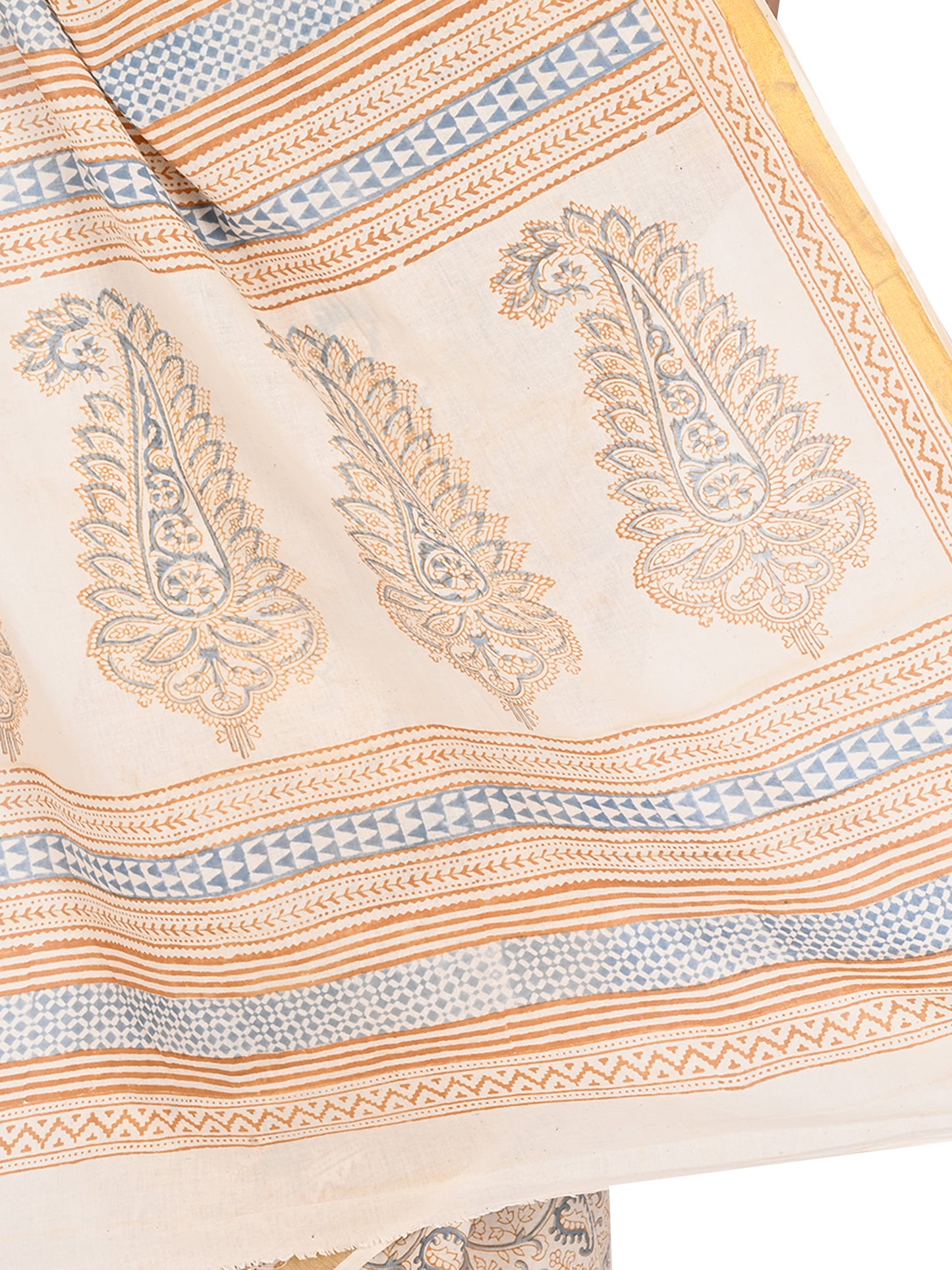 Model showcasing a classic drape of the Punya saree, highlighting the intricate blue floral patterns and the contrasting beige and gold-toned border by naitri.in